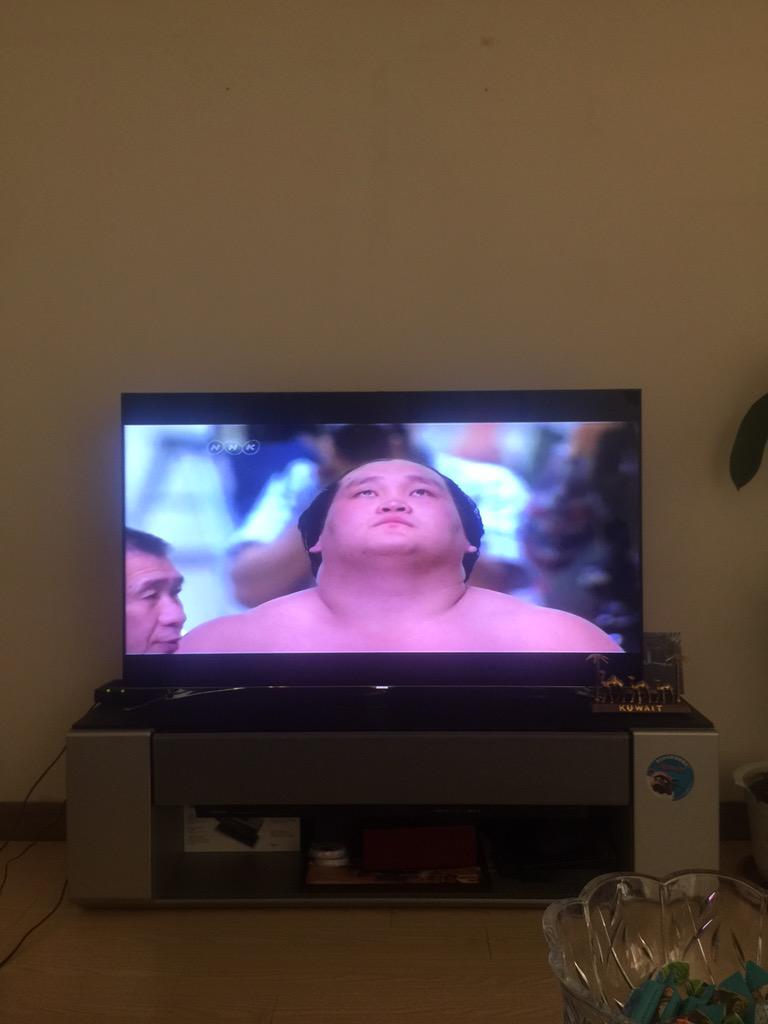 Asashoryu's tweet photo. 涙出ちゃた‼️懐かしいよ〜〜‼️俺にもうあった http://t.co/caTuf2x4gl