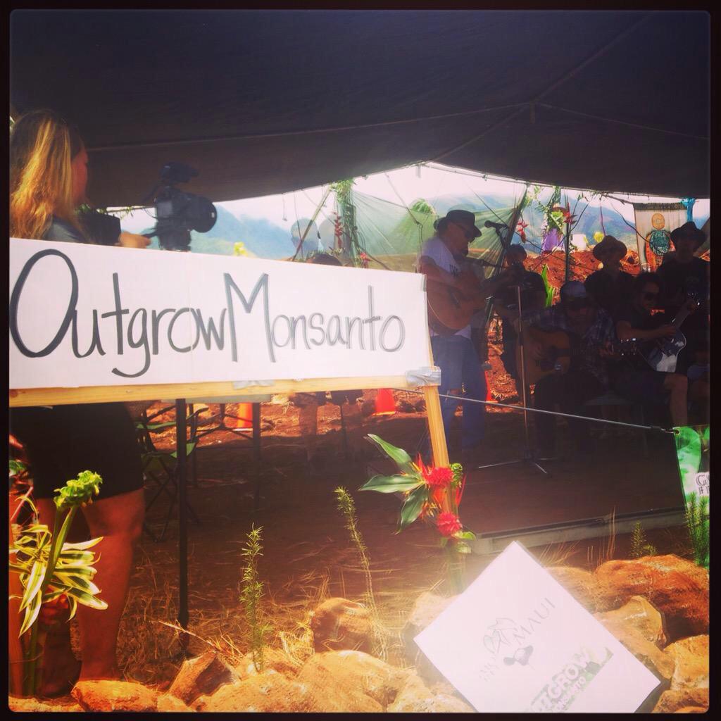 GMWatch's tweet photo. Neil Young among those attending anti-#Monsanto rallies across the Hawaiian Islands http://t.co/eKntRRG0EJ #MAM #gmo http://t.co/2N8k5RMpdg