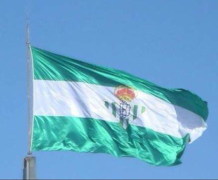gonzalobusan's tweet photo. Betis, ha llegado el día. ¡¡¡Vamos!!! http://t.co/Yn4b9xednX