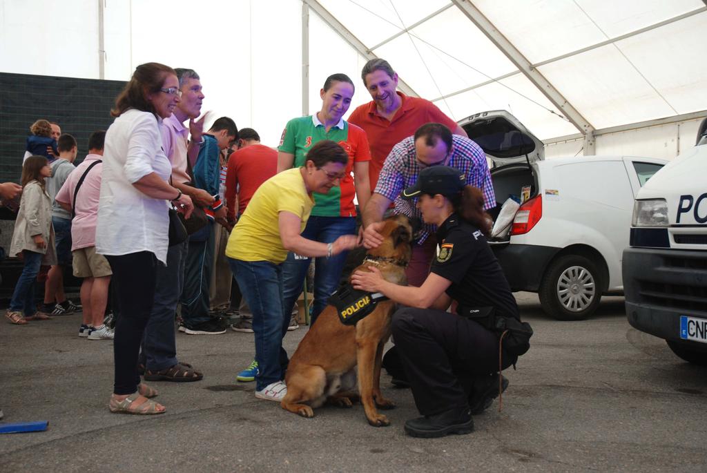 policia's tweet photo. Ser policía te da satisfacciones enormes, como hacer esta exhibición en Almería con 70 amigos de Síndrome de Down ☺ http://t.co/WqKRPSYkKQ