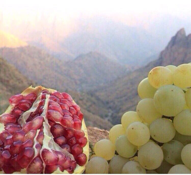 twitaldeerah's tweet photo. #صور لبعض المنتجات الزراعية بمحافظة #النماص
. http://t.co/Q9dHqmIYVm