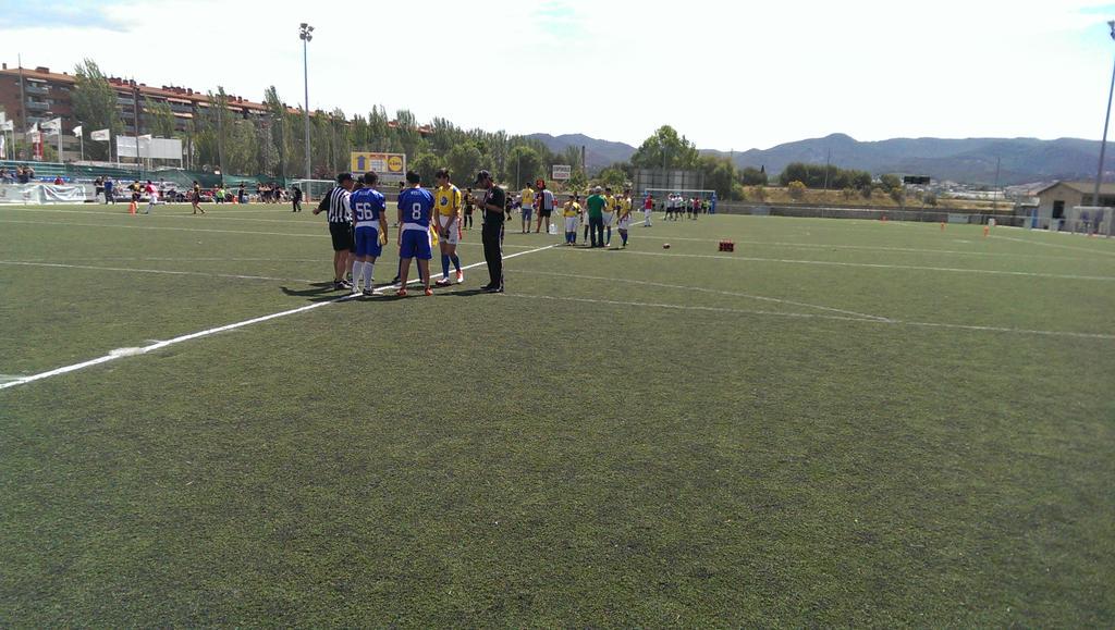 Mollet Dolphins tweet media