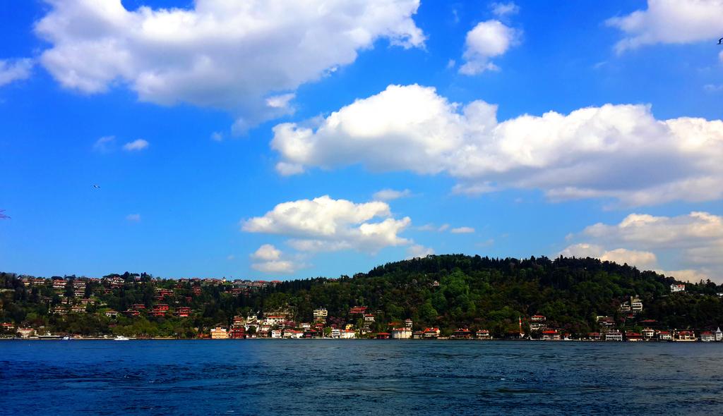 SeçimTuruTRT1 tweet media