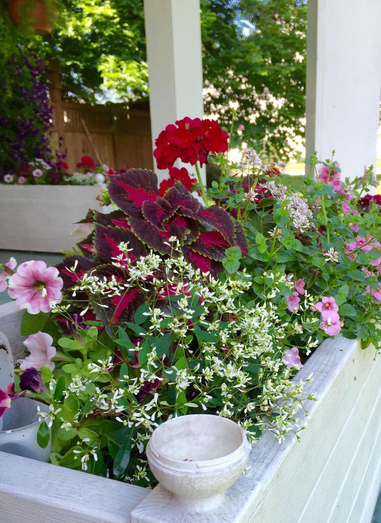 agricolaknows's tweet image. Weekend project: #onestepstyle gallon mixes + complementary quarts... Perfect on the front porch! #hgtvhomeplants