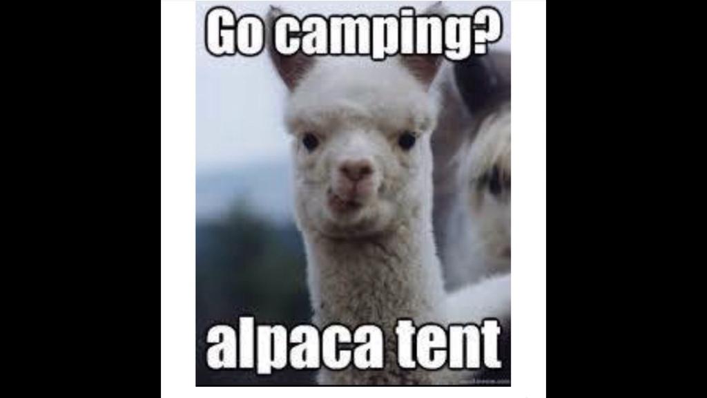 Sunday punday <a href="/NickAlvino/">Nick Alvino</a> <a href="/schurgz_4/">Justin Schurgott</a> <a href="/battas11/">battas</a> <a href="/mickeags/">Michael Eagleton</a> <a href="/BlackBookRacing/">Lachlan Mosley</a>