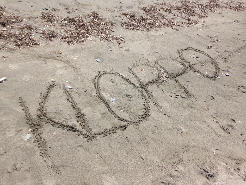 sarahba99's tweet photo. #DankeKloppo @BVB http://t.co/AVCJb3bW2q