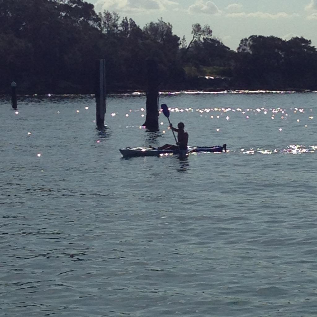 Almoukov's tweet photo. #Kayak this morning in the harbour! http://t.co/2IkFt4MuDx