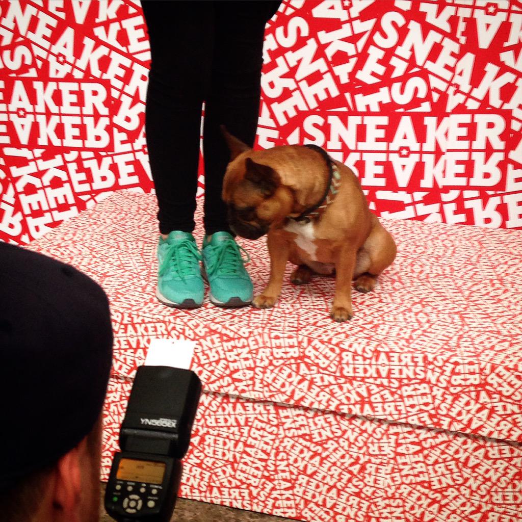 snkrfrkr_de's tweet photo. 2nd day of @Sneakerness Amsterdam 2015 and the vibe is great - so many colourful people and sneakers! http://t.co/Mk8hpTsxJm