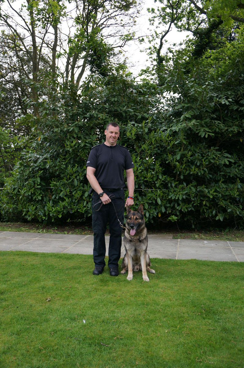 SurreyPolice's tweet photo. 'Dogtastic' news!! We've retained the title - 'paws-up' to PD Chester who's won the 2015 National Police Dog Trials http://t.co/FRy2jHExCg