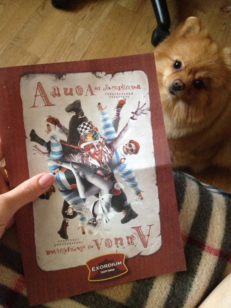 Valeriya1696's tweet photo. Потрясающий танцевальный спектакль,браво Елене Бакалейник и Виталию Клименко👏💥Обязательно сходите,не пожалеете http://t.co/S4NQk6CnKp