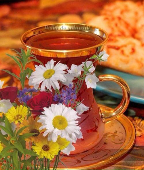 @aakk77972 <a href="/200133Iraq/">وردة☆الأمل</a> الورد الورد