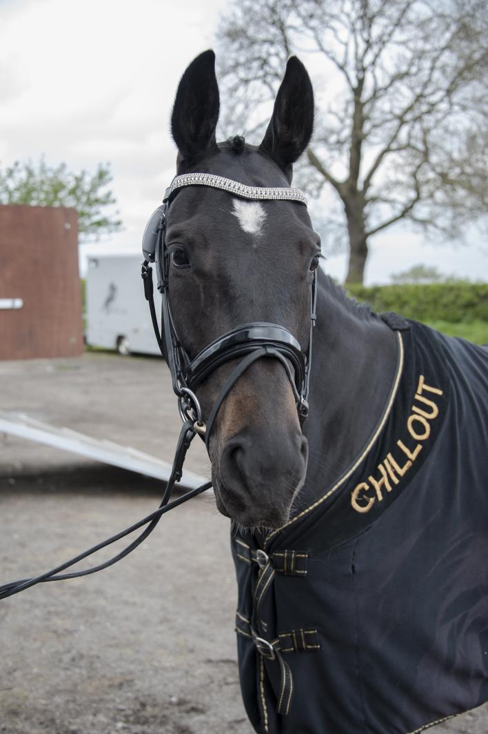 Millie has Qual for regionals. A win on74.4% gd girl! <a href="/bz_marketing/">bz_marketing</a> <a href="/Alphasurveyors/">Alpha Surveyors</a> <a href="/ChilloutHorsewr/">Chillout Horsewear</a> @RowenBarbary!