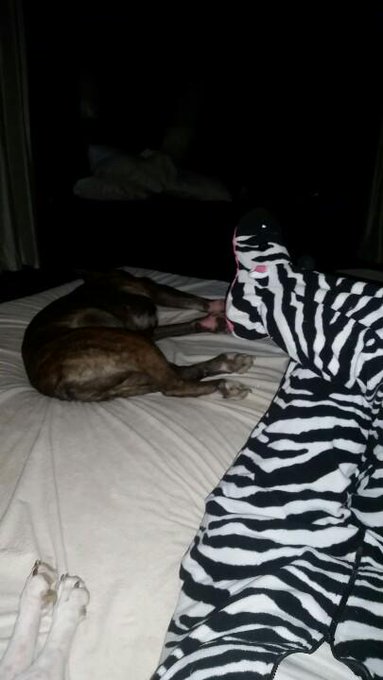 When my friends asked me what I was doing today... http://t.co/OeFS2LqiZu