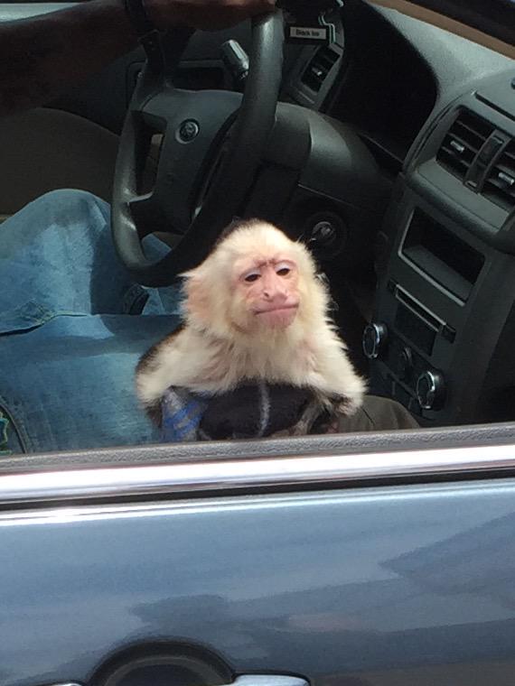 Sierra Norris tweet media