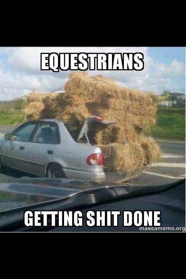 EquestrianSara's tweet photo. #EquineHour http://t.co/Fkw5ILRRdY