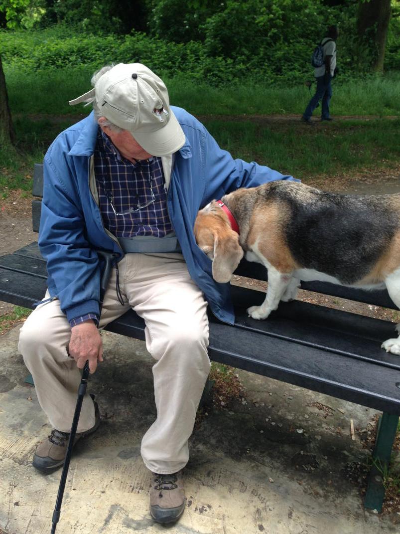 I knew it ! There are some cookies in this pocket #determinedbeagle #anythingforacookie