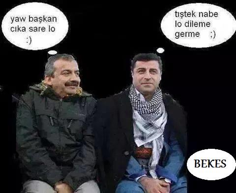 OdesaAslan's tweet photo. #SelocanStarda #DemirtaşStarTVde #ILoveHDP http://t.co/h1D4h3w706