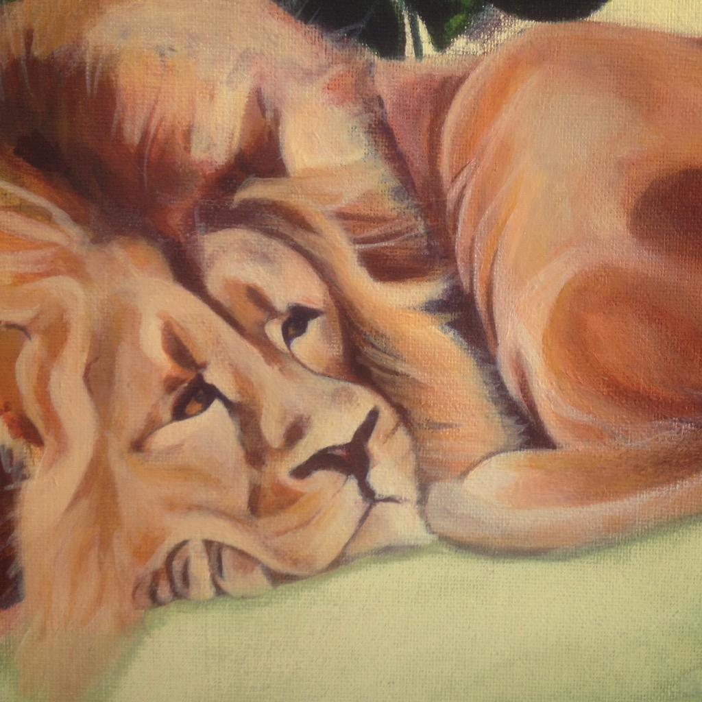 SherbsArt's tweet photo. Forlorn #lion #illustration. #art #roar #wildcat #animals #painting http://t.co/mn7EYlSh63