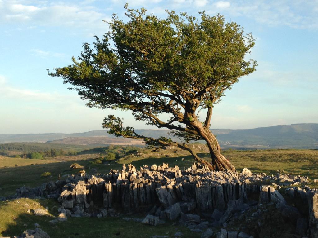 Countrymanimage's tweet photo. Stunning day out in Brecon Beacons with @chewyuk learning new skills and discovering new places. #iphonepreview http://t.co/61wC7Ik8h7