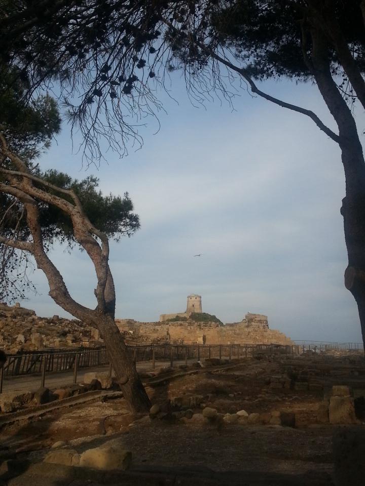 Giulia_Eremita's tweet photo. Walking on the pedestrian way of the lost phoenician town of #nora in #pula #sardegna #maperti15 http://t.co/iStSTpl9yU