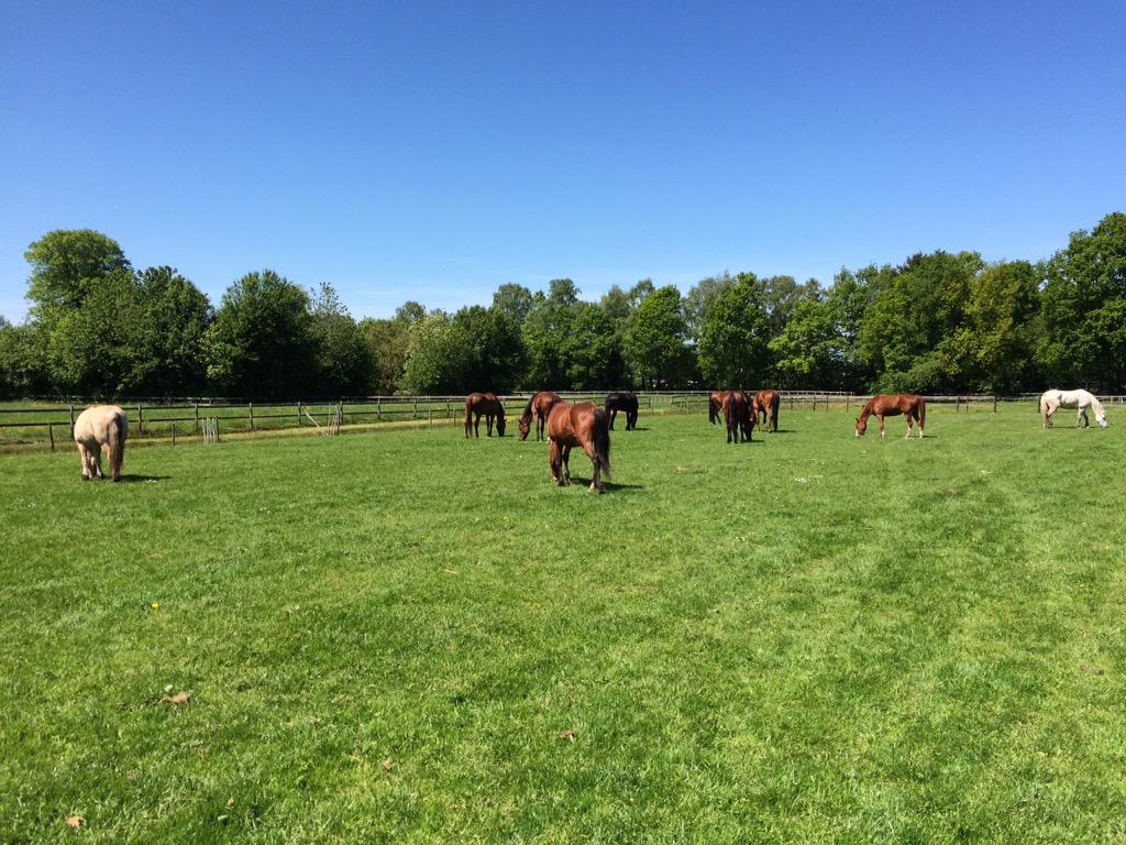Ojan en vrienden genieten ook van de lunch bij <a href="/HotelZorgvlied/">Villa Nova</a> , weer een topdag gehad in het <a href="/NationaalParkDF/">Drents-Friese Wold</a> ❤️