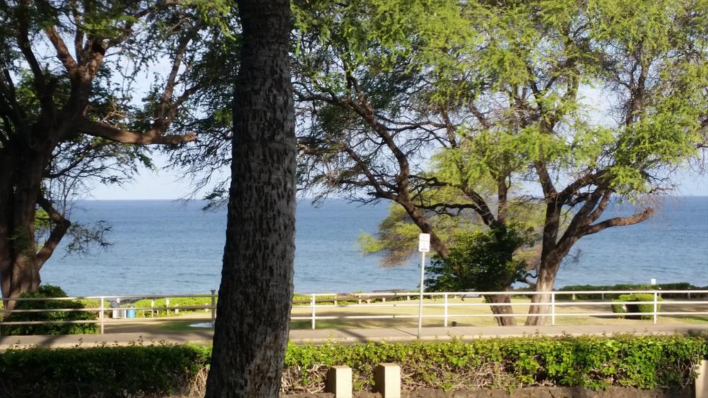 rskeebs19's tweet photo. Just sitting on the patio having my coffee in beautiful Maui http://t.co/jjBxpMscFC