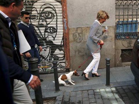 Esperanza Aguirre arrastrando a su perro a votar, parece que Pecas es más del PACMA :)