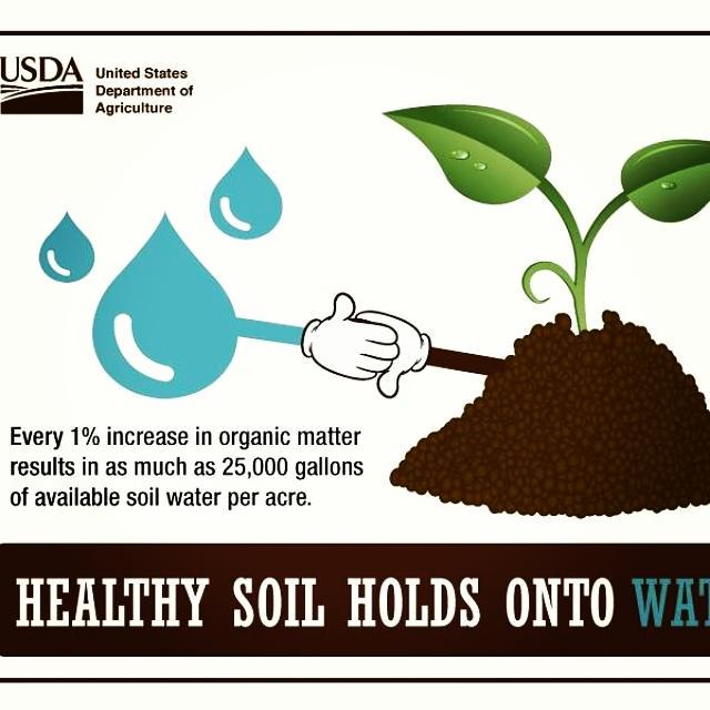 OakParkSoil's tweet photo. #Soil #organic matter holds #water. Turn your #garden into a sponge. Respond to the #CAdrought with #compost. http://t.co/K4LEt6baox