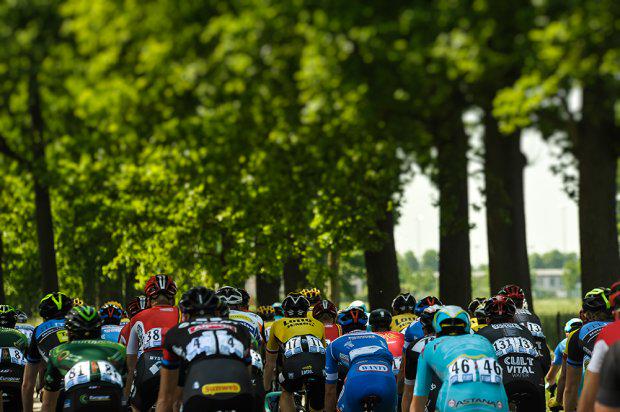 WPCcycling's tweet photo. Check out Stage 2 summary and the best pictures of the day :http://t.co/wUv4Ro8Elj #WPC http://t.co/0fetozbLkU