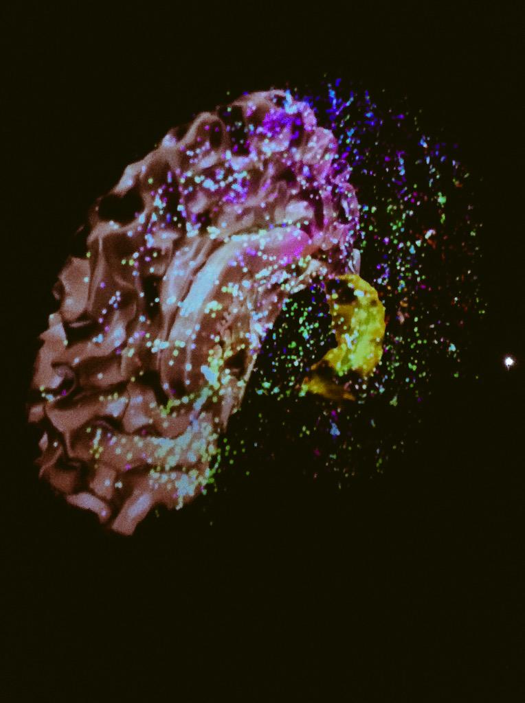 IRT_BCom's tweet photo. We love it in 3D and 4k, @SATmontreal does it in a giant way #dome projection #insidebrain #IX_Symposium http://t.co/iml6d5TH8b