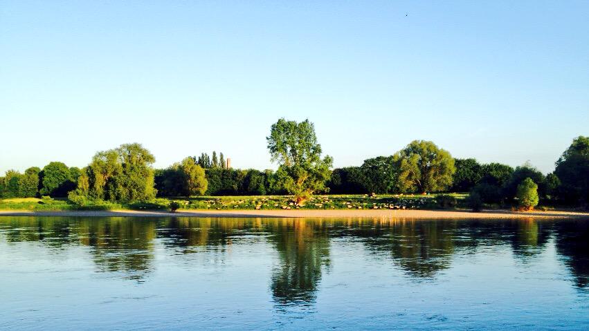 Today in Dresden, #GER

Pfingstsonntagabend an der Elbe  via <a href="/MSN_Dresden/">MSN Dresden</a>