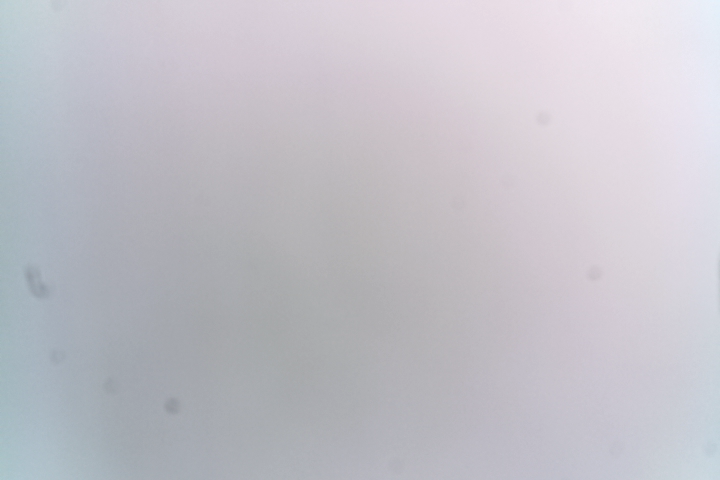 <a href="/Diymicroscope/">Diy microscope</a>