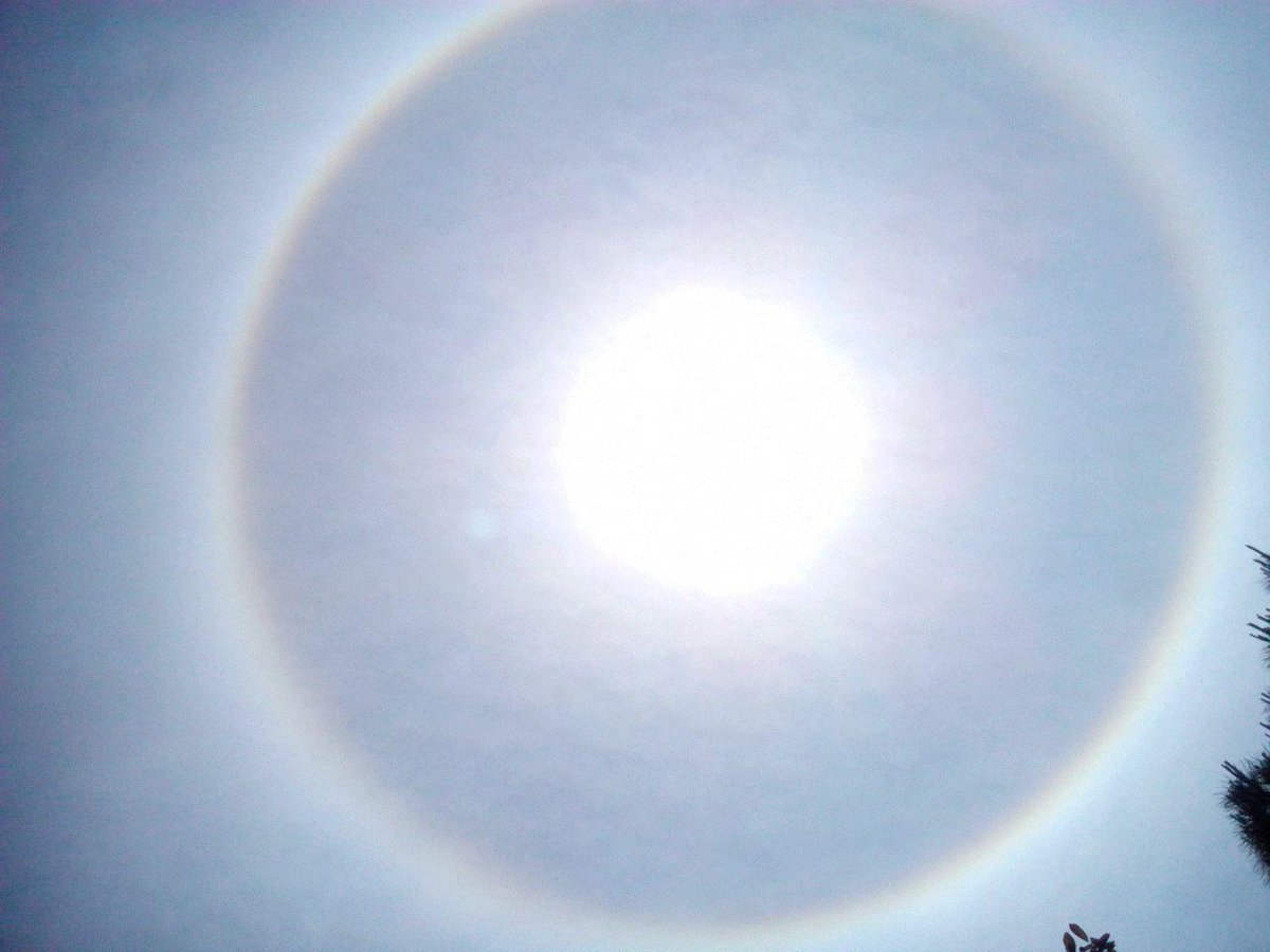 AlluAlonso's tweet photo. @tiempobrasero Espectacular efecto del sol hoy en Húmera, Pozuelo de Alarcón. ¿a que es debido esto? http://t.co/okWk24afG1