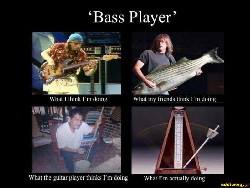 Bass Player. 