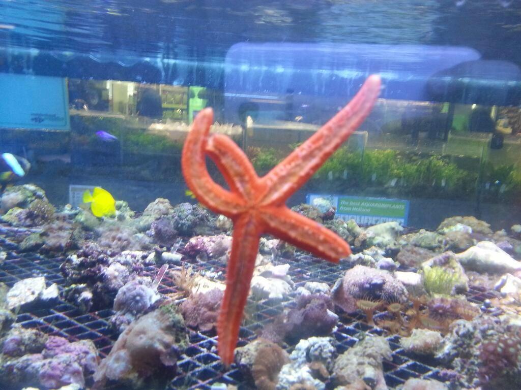 Iwanrunner's tweet photo. 1% Usain Bolt... http://t.co/3hCgDiIPFx