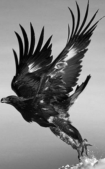KuvvetKuvvet's tweet photo. teşekkürler beşiktaş..
şampiyon cimbom👏👏👏 http://t.co/D5EaDKsLeC
