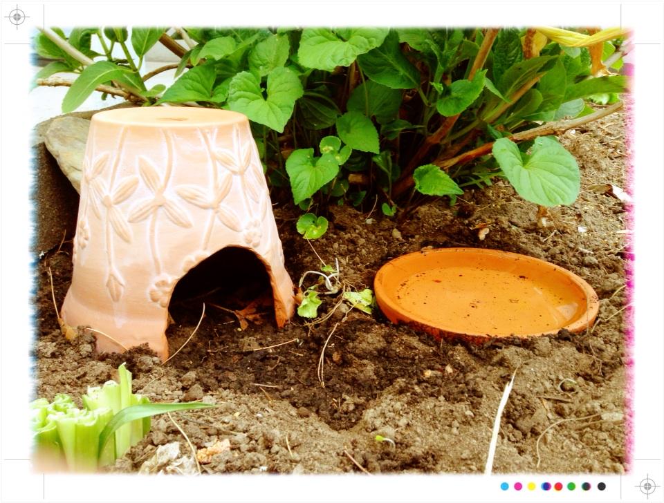 charettestc's tweet photo. If I was a toad I would totally move in here #toadabode #diy #hasapool! http://t.co/FksRF5ko7n