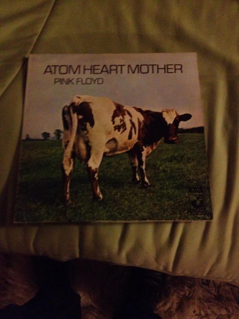 padnyon's tweet photo. Soirée vinyl .. Celui qui possède ce pink Floyd est supplie de m appeler .. http://t.co/lOBPqRfc6e