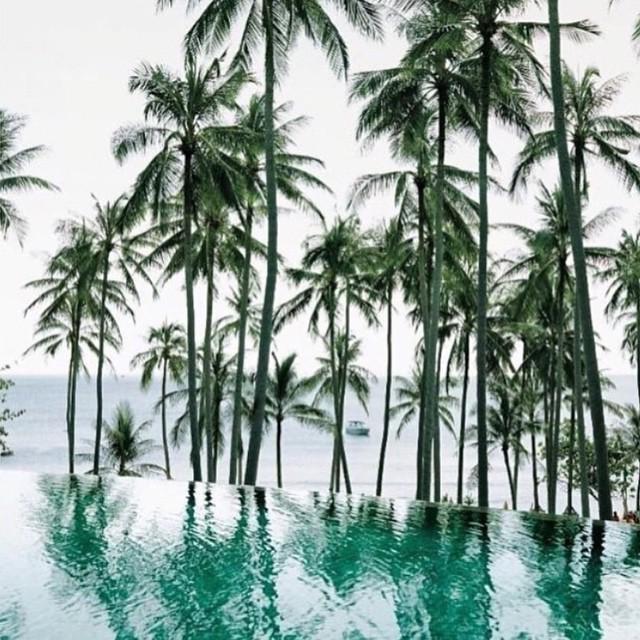Onatable's tweet image. Does anyone else wish they were here?🌴🌴