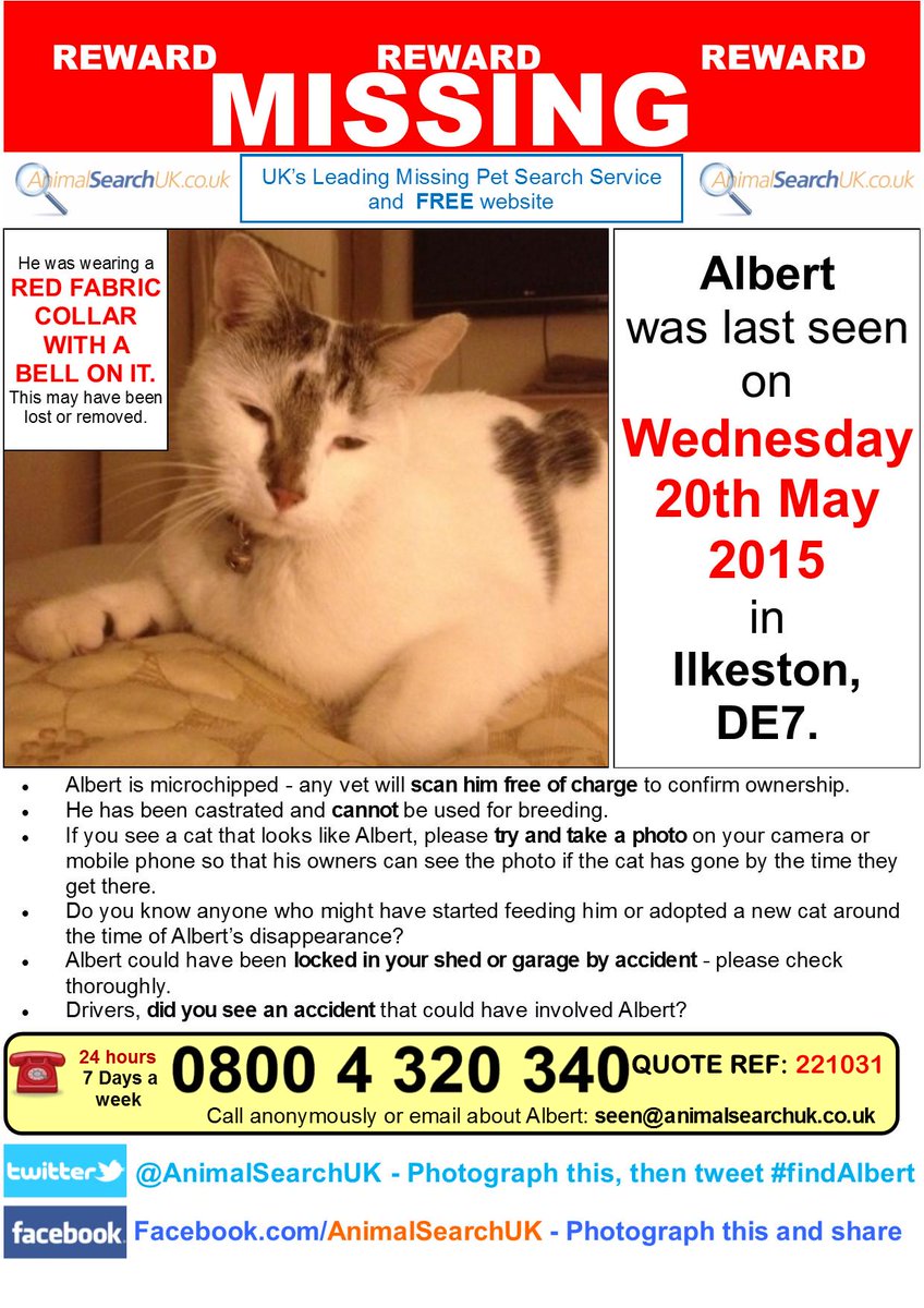AnimalSearchUK's tweet photo. PLZ RT @VetPractitioner #missingcat #ilkeston #derby #DE78NH #findalbert
http://t.co/ouEhVNhuD1 β¦ http://t.co/pAIAvnzO8P