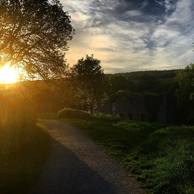 #ireland #park #nice #weather #sunday #sun #end #of #the #day #may