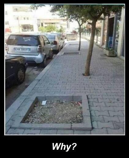 _tomiC_'s tweet photo. #justwhy http://t.co/u1bxDUm5We