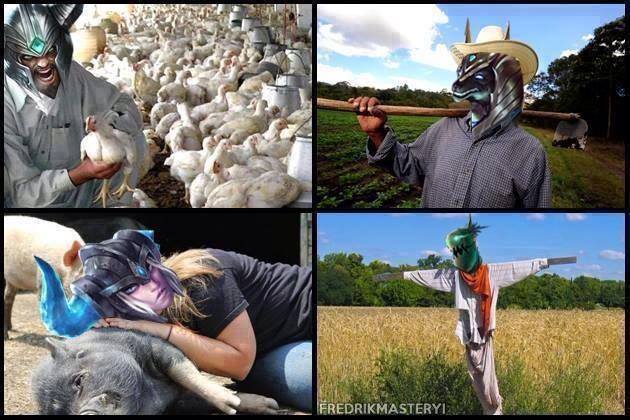 leagueproblemos's tweet image. Farm life