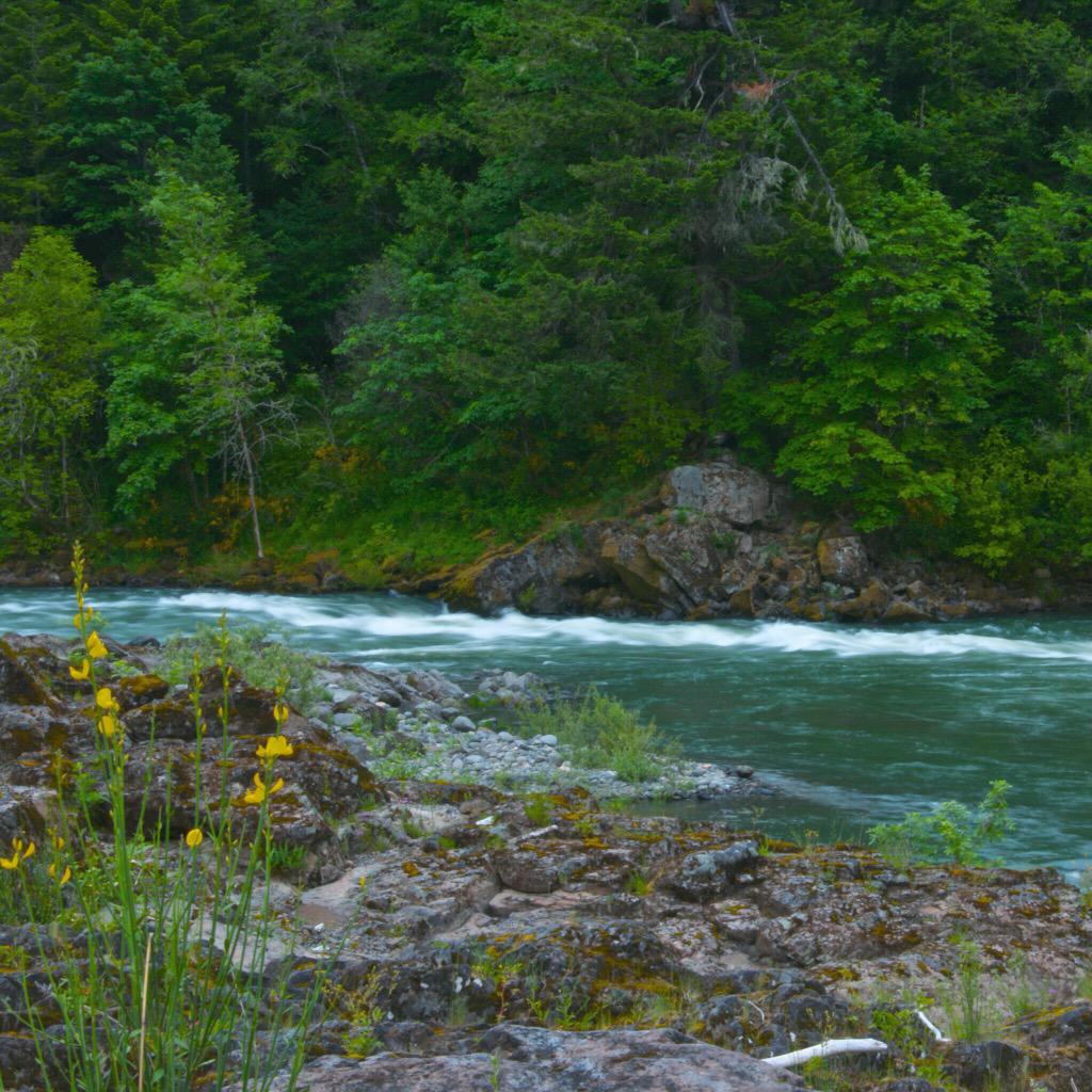 opticolephoto's tweet photo. @illhueminati #northumpqua #oregon #tioga #blessed #thankful http://t.co/TwYAUKQ9rY
