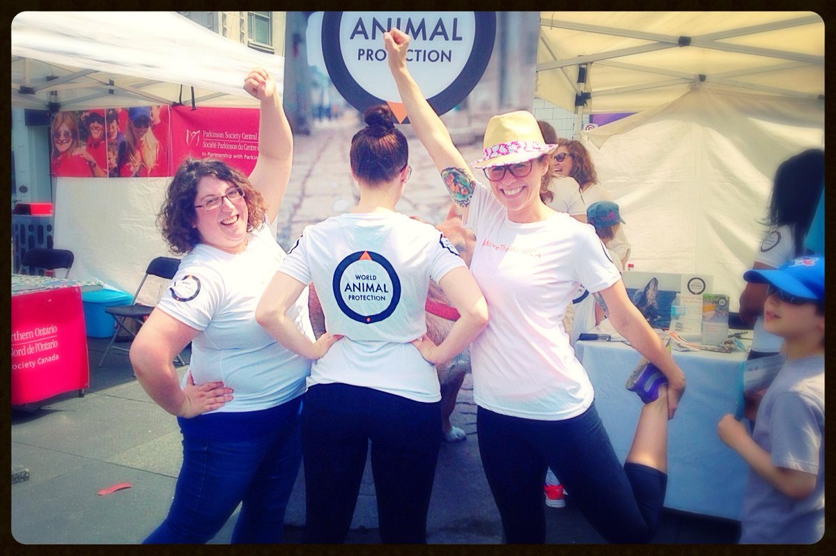 meplusbea's tweet photo. World Dance Day! @MoveTheWorldCA @animalprotectionCA #sharingdance http://t.co/gjlQEzfdap