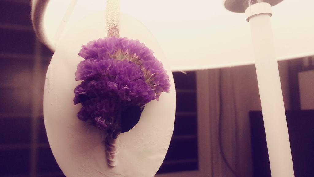 드라이플라이 이쁘당~~