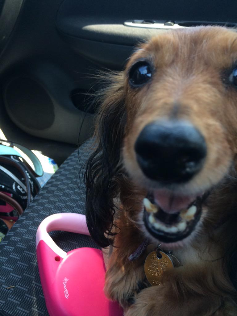 When you accidentally turn on the front camera