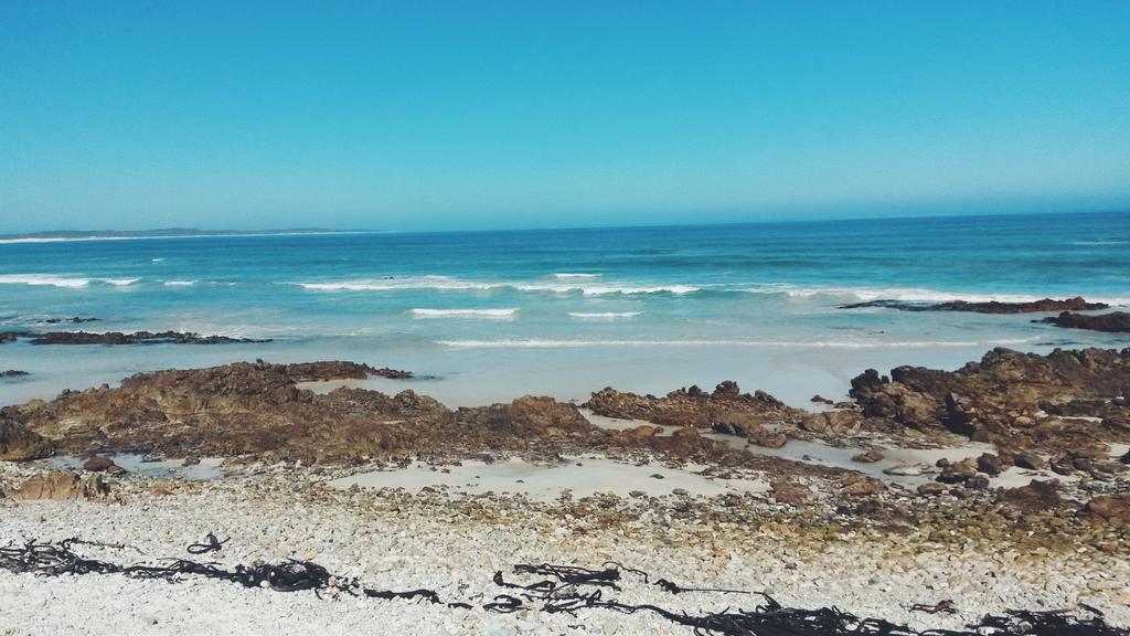 The Ocean stirs the heart, inspires the imagination &amp; brings eternal joy to the soul. ~ Wyland #WorldOceansDay