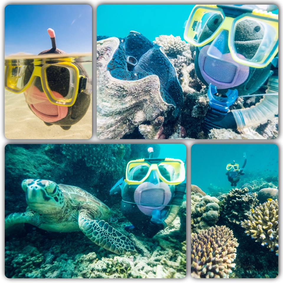 It's #WorldOceansDay! Last year I visited the #precious #GreatBarrierReef with <a href="/connectedsparks/">Connected Sparks</a> and <a href="/PenguinBooksAus/">Penguin Books Aus</a>.