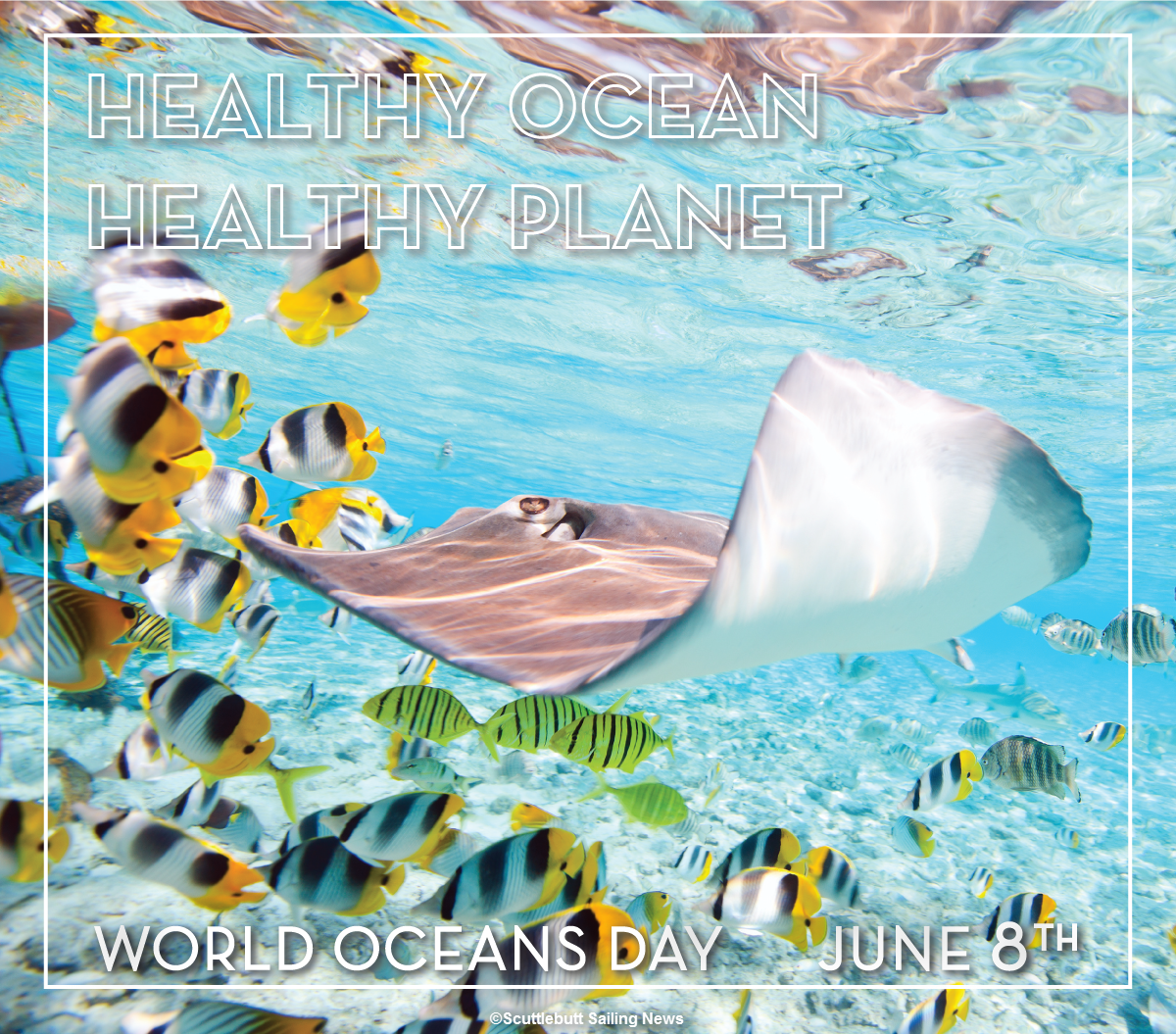 ScuttButt's tweet image. WORLD OCEANS DAY - JUNE 8